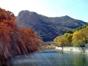 塔城地区市体育局最新发展规划，塔城地区市体育局发展规划展望